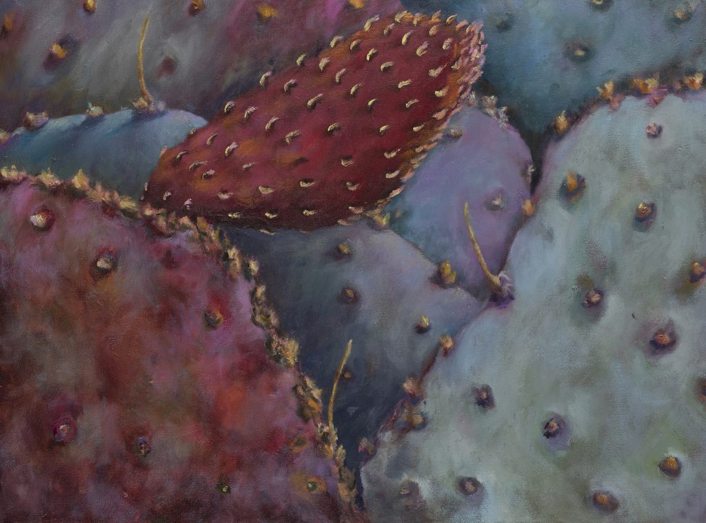 up close view of colorful cactus
