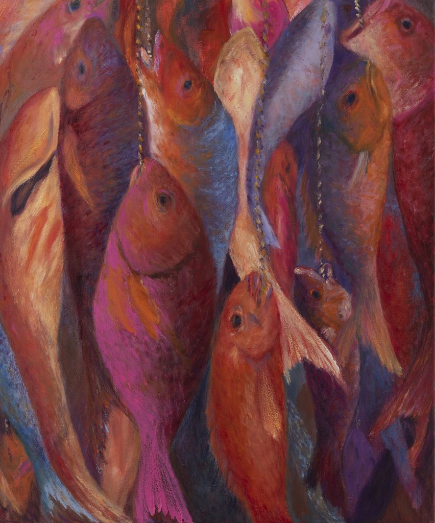 a catch of multiple numbers of colorful fish 