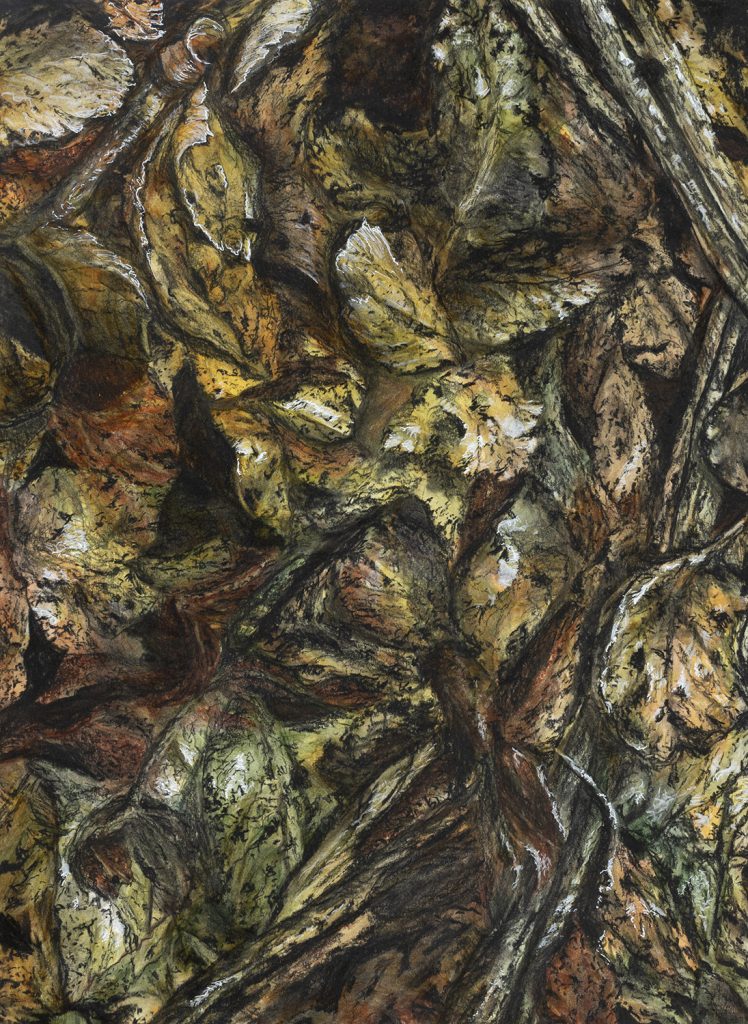 abstracted view of decaying leaves and branches covering the ground