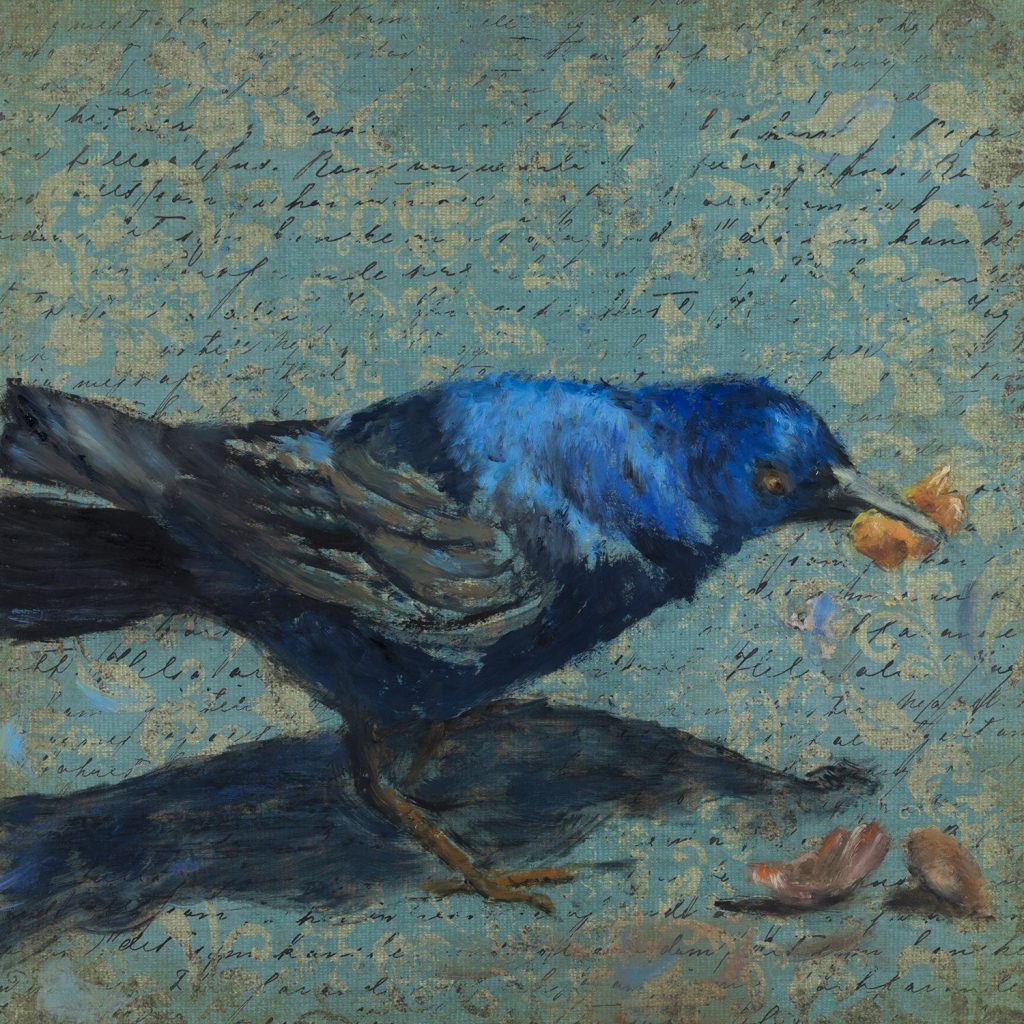 common grackle bird eating a snack