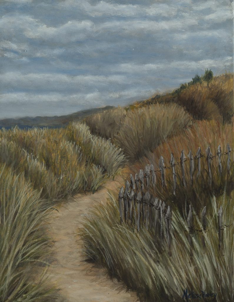 Winding path between tall grasses leading to a beach