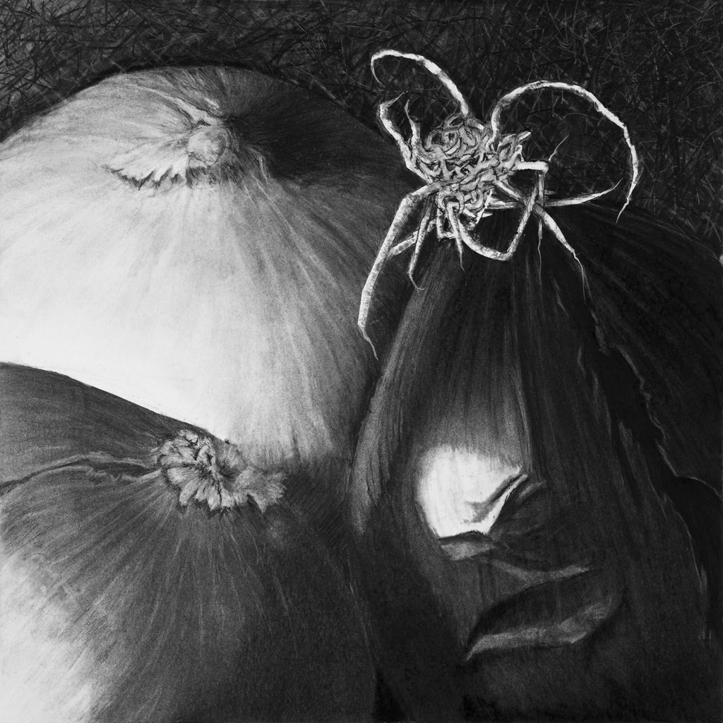 Black and white charcoal drawing of three different shades of onions