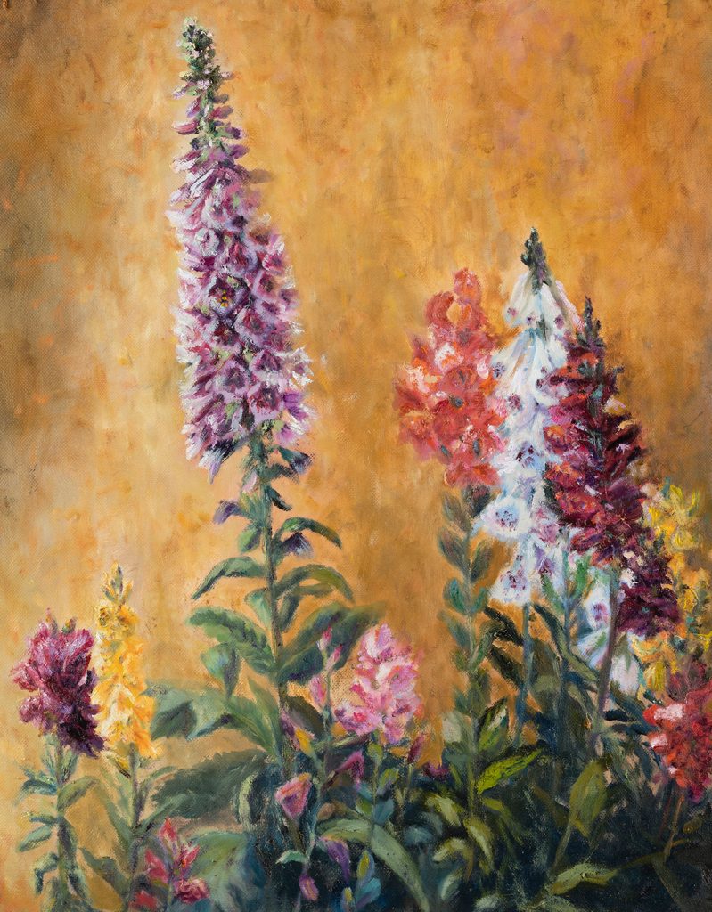 sunny day in a colorful foxglove garden boarding a stucco wall