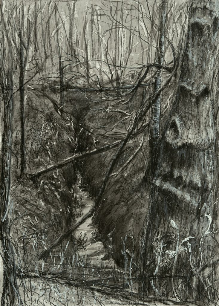 Black and white drawing of a meandering creek in the woods