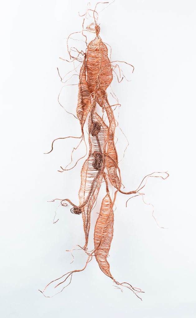 wire sculpture of elongated seed pods