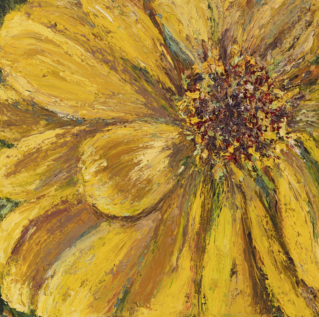Close up view of yellow zinnia
