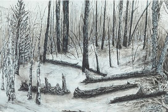 Favorite Tree Landscapes Interconnected