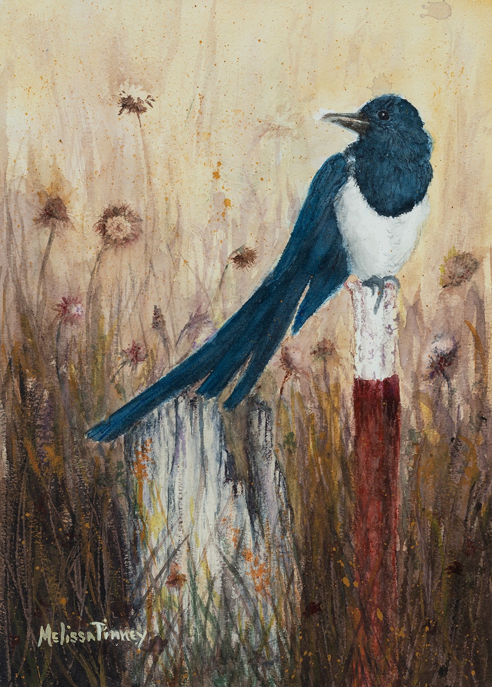 Magpie Sitting on a Metal Fencepost