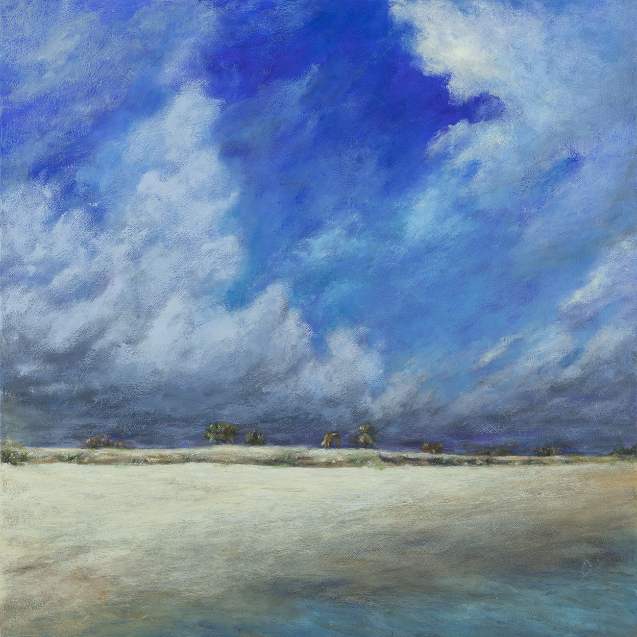 Sun Drenched Beach Before Storm Clouds Arrive