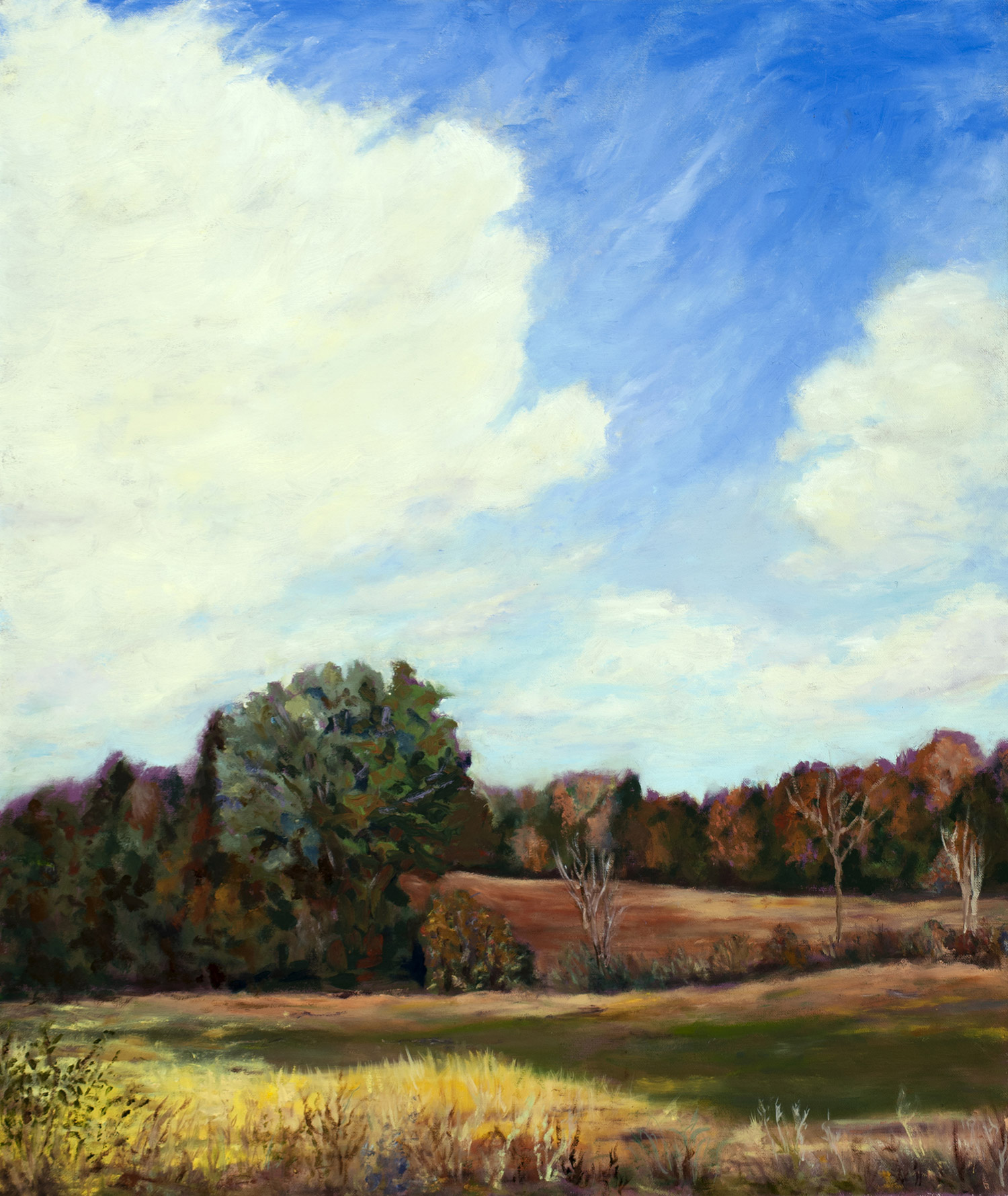 Autumn Field on the Farm