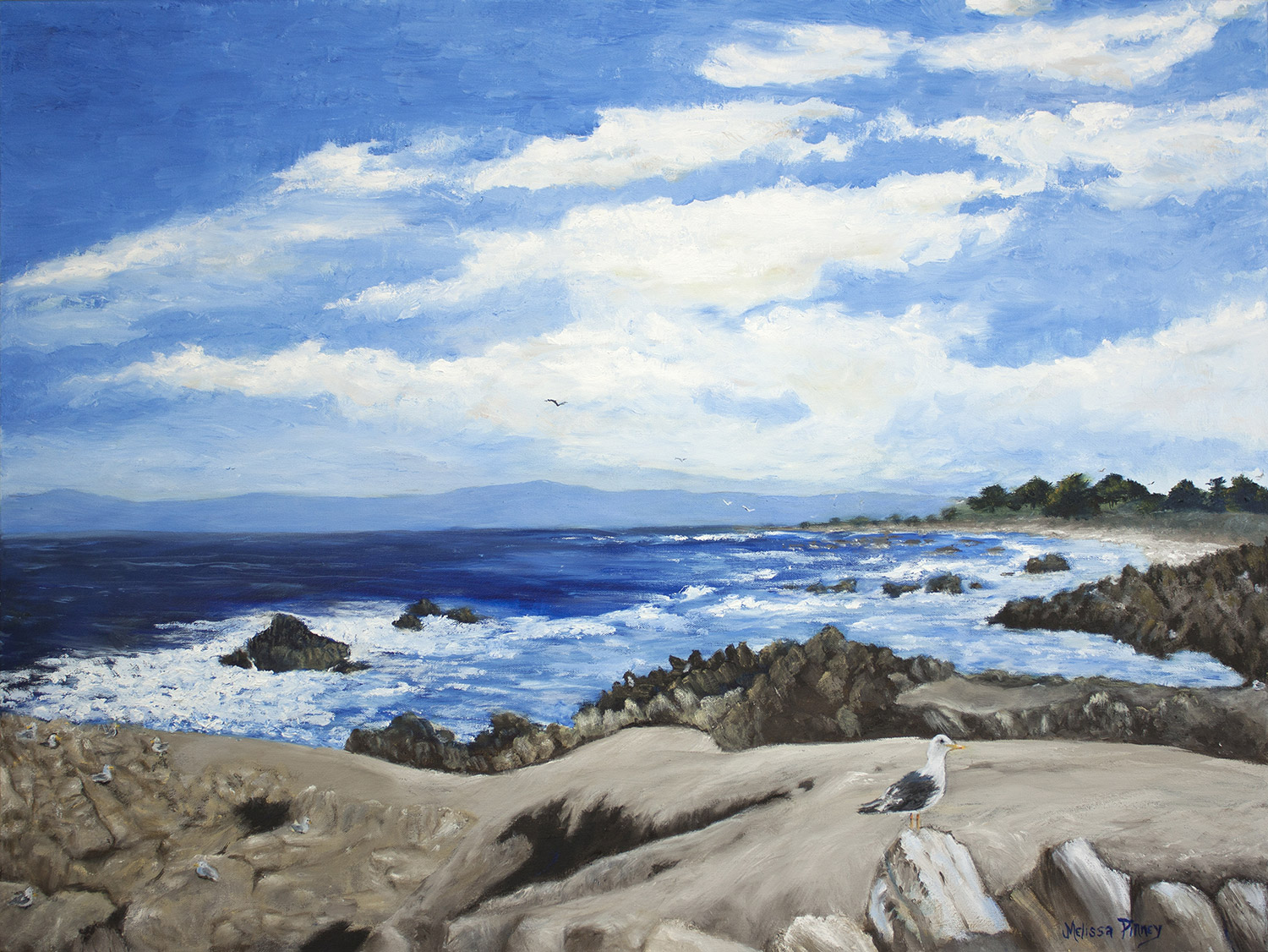 Seagulls Sunning at Pebble Beach