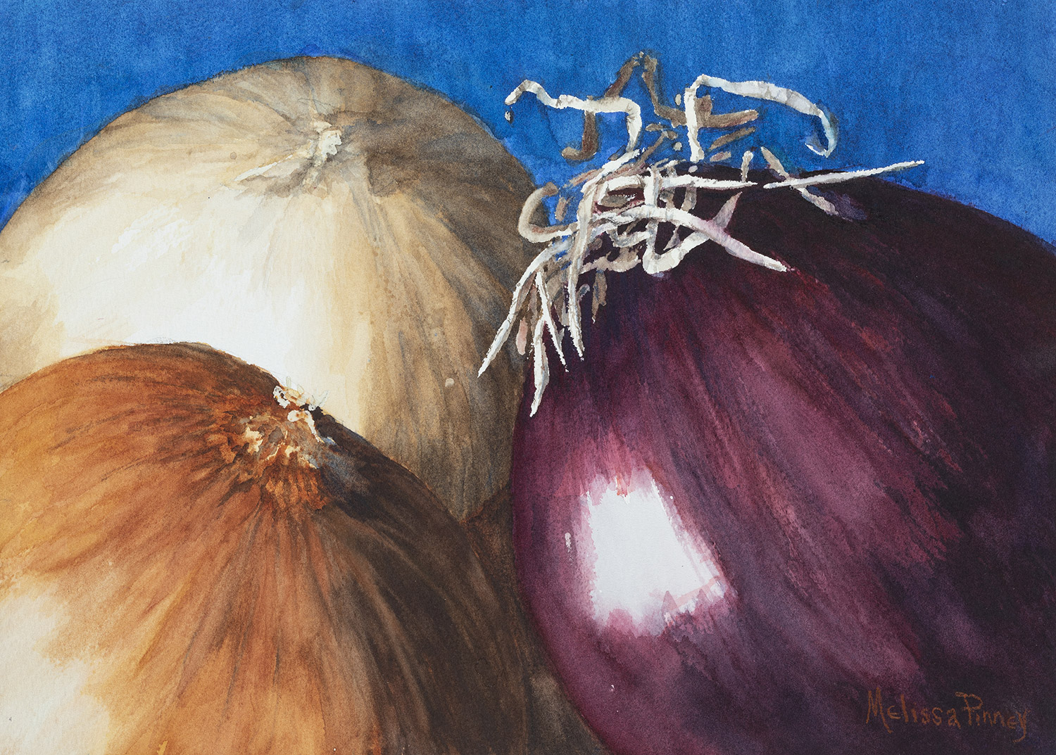 Three Onions in Color