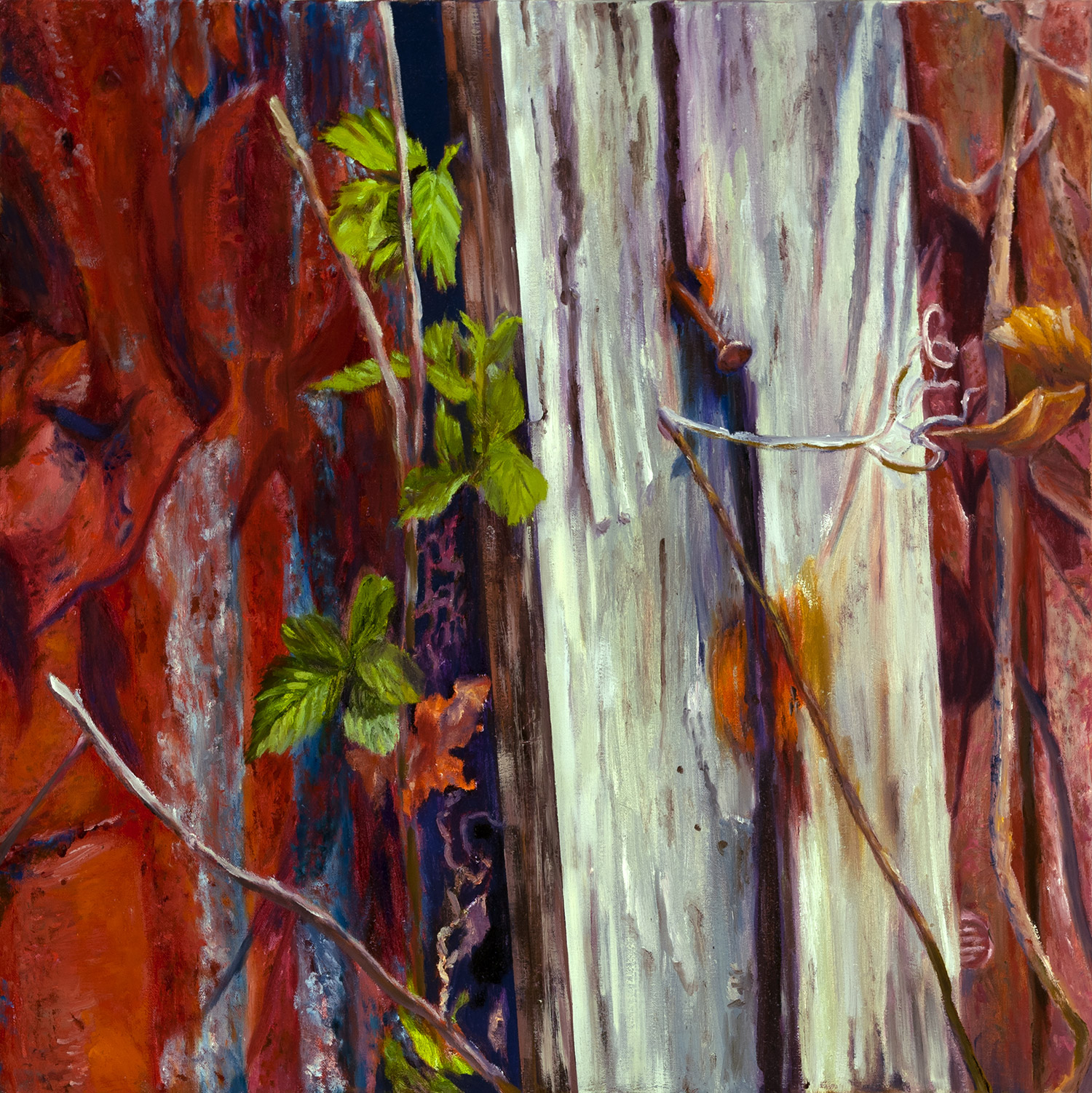 Metal and Wood Rusting Away