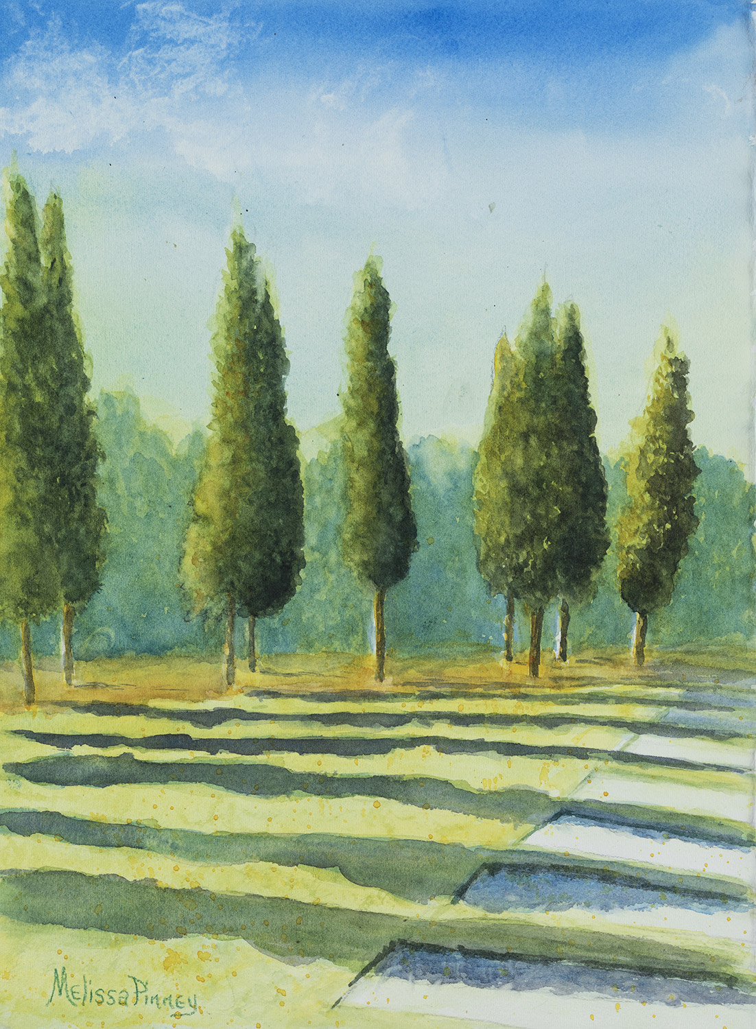 Afternoon Shadows Across the Lawn