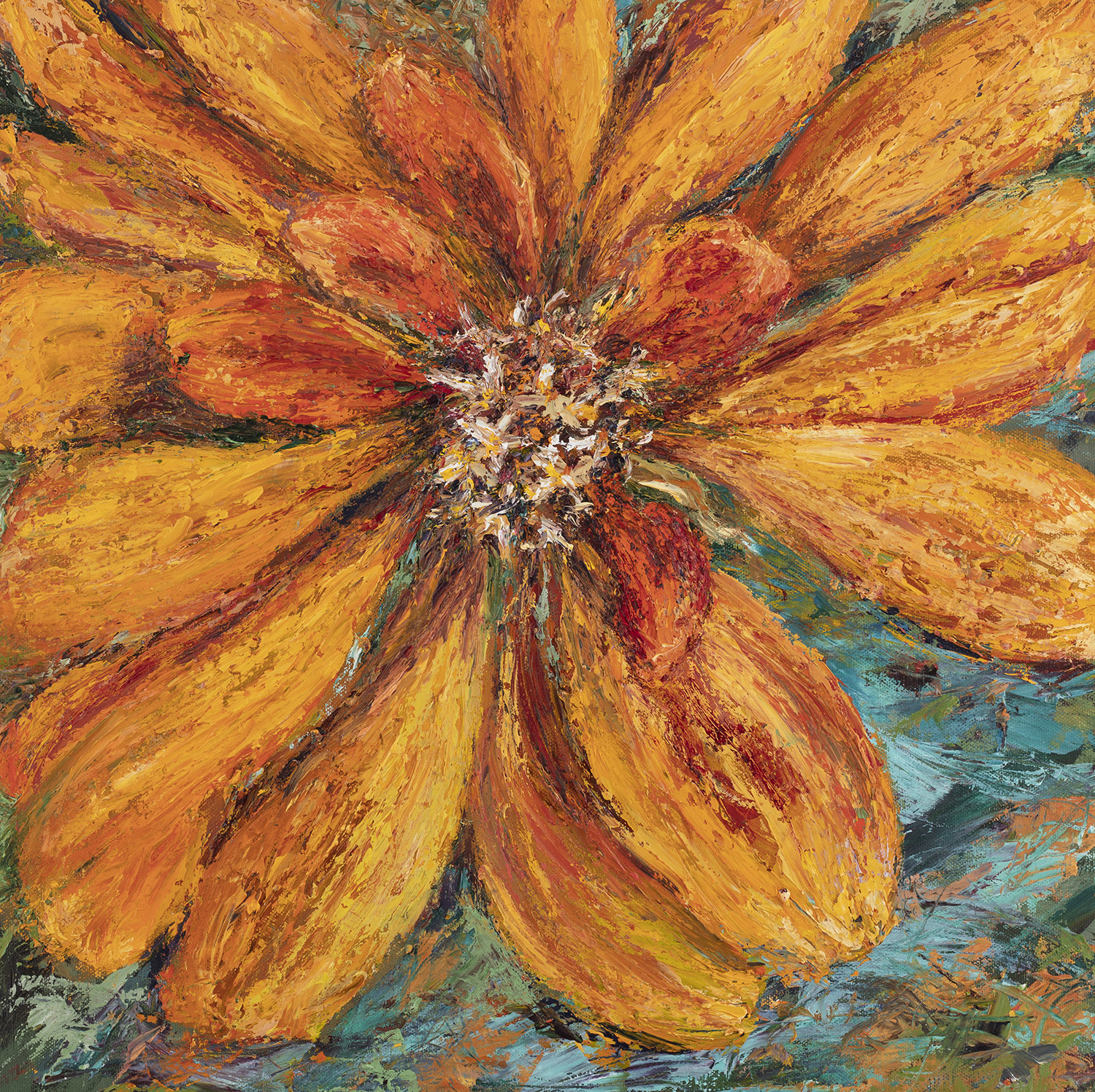 Yellow and Orange Zinnia