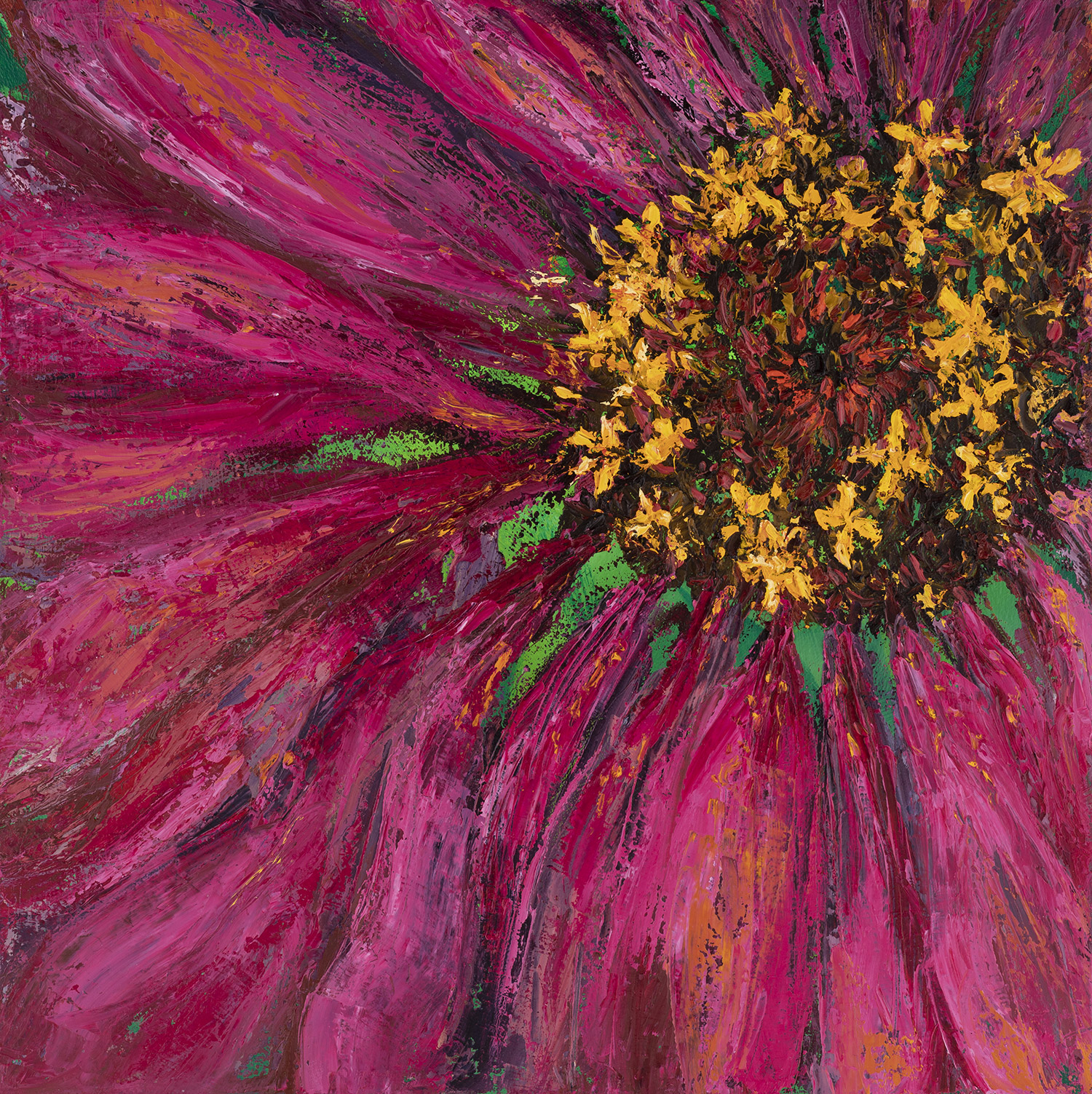 Vibrant Hot Pink Zinnia